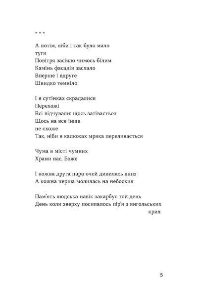 Тонка коричнева лінія 1028480 фото