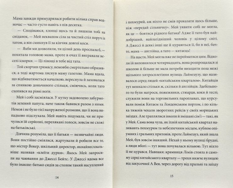 Загадка коштовного метелика 1002829 фото