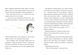 Круторіжка в Страшному Лісі. Книга 1 1013105 фото 6