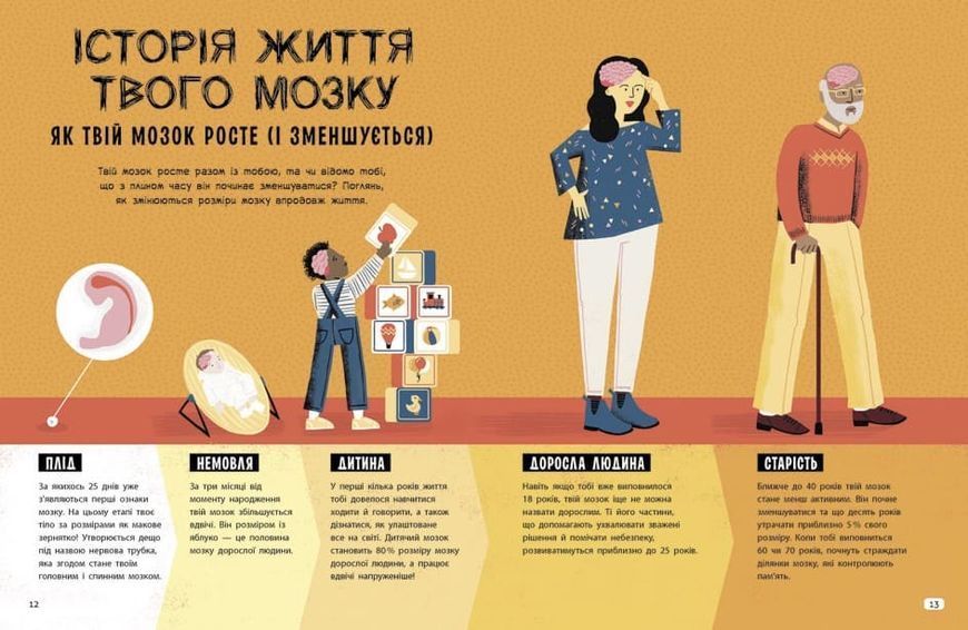 Дивовижний мозок. Ця книжка повна мізків: усілякі мізки та як вони працюють 1018057 фото