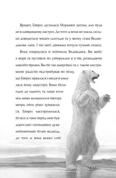 Останній ведмідь 1018281 фото