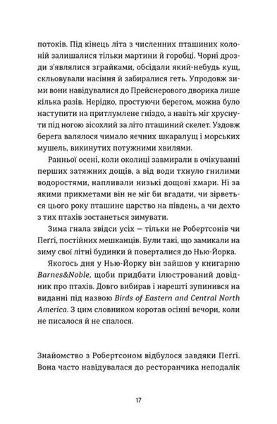 Ангел і осел 1034508 фото