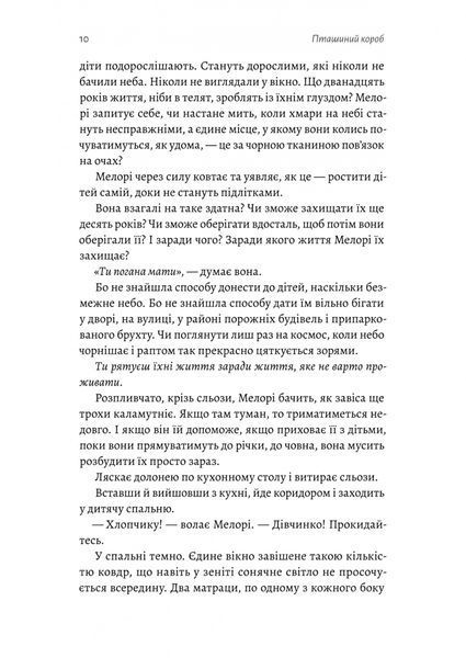 Пташиний короб 1031365 фото