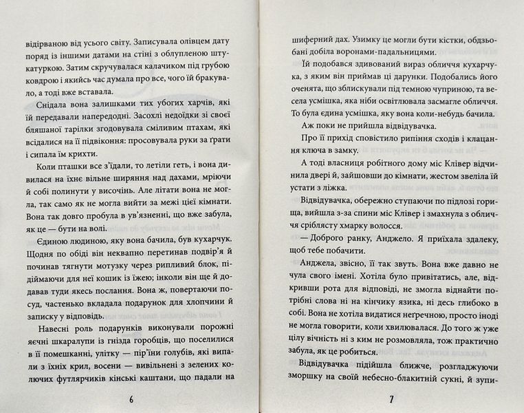 Небоцирк. Трилогія. Техносерце. Книга 3 1004849 фото
