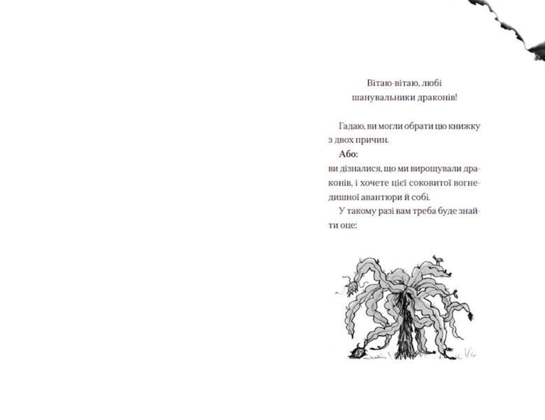 Хлопчик, який жив з драконами. Книга 2 1014317 фото
